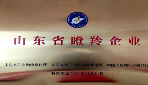 慶祝深藍(lán)機(jī)器榮獲山東省2021年度“瞪羚企業(yè)”榮譽(yù)稱號